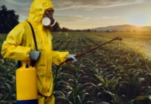 A Simple Bed Bug Control Guide