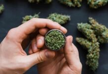 The Potential Health Benefits of Medical Marijuana Halifax weed delivery