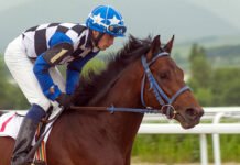 Horse Racing Wagers – The Win Single Legal Betting Sites In Singapore