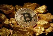 PEPE Coin Market Trends and Long Term Price Targets